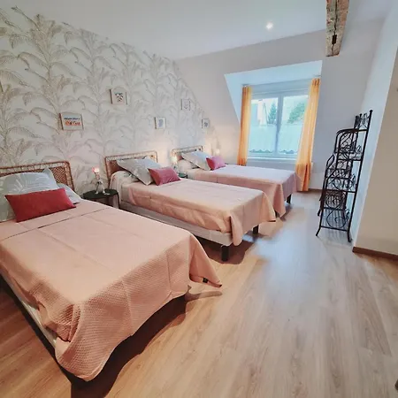 Confort Avec Jardin, Près De Valenciennes - 5 Chambres, équipements Bébé, Borne électrique - Fr-1-510-188 *